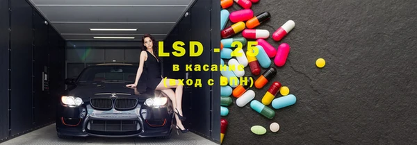 хмурый Алзамай