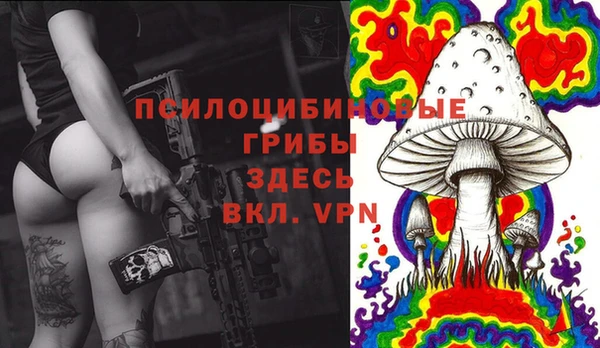 хмурый Алзамай