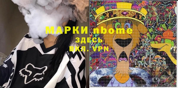 хмурый Алзамай