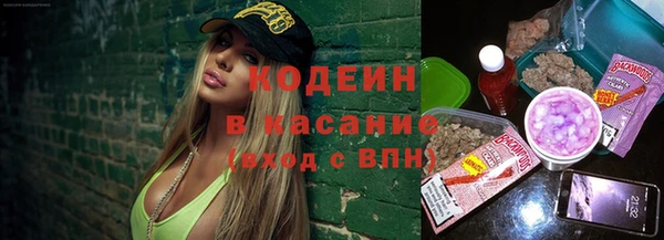 хмурый Алзамай
