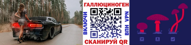 Галлюциногенные грибы прущие грибы  MEGA tor  Змеиногорск 